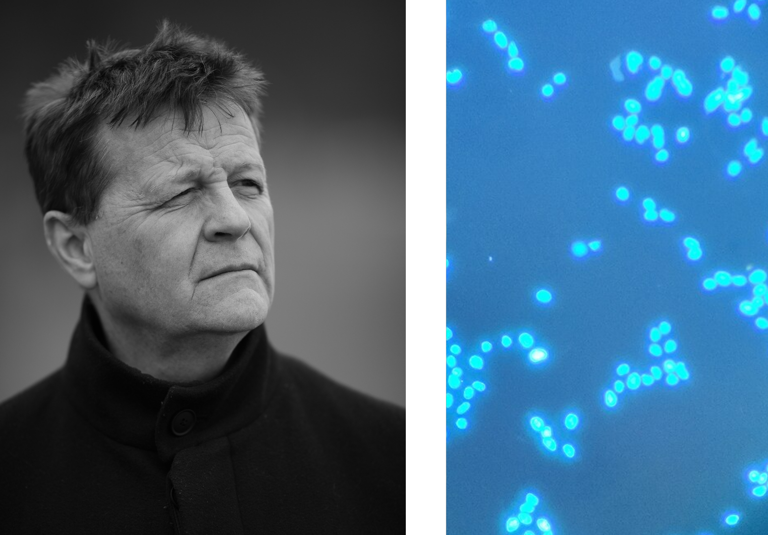 Christian Bök ja hohtavia bakteereja kollaasissa