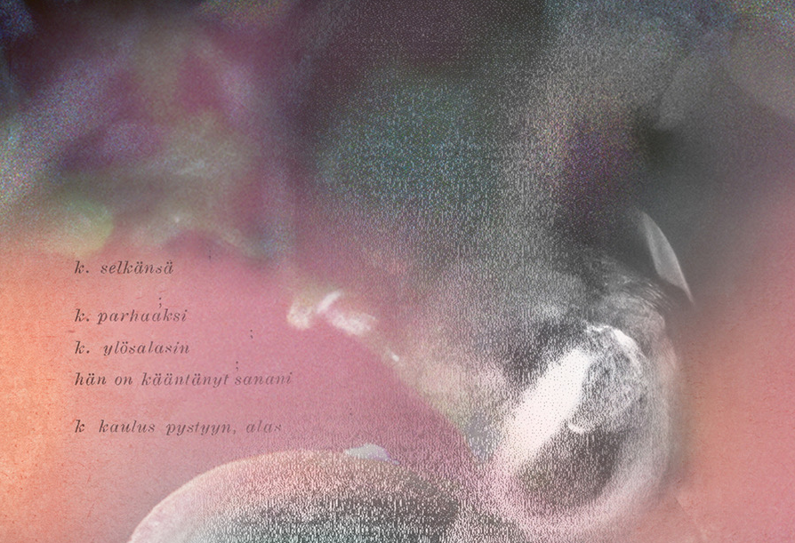 yksityiskohta Ida Stenrosin kansikuvateoksesta