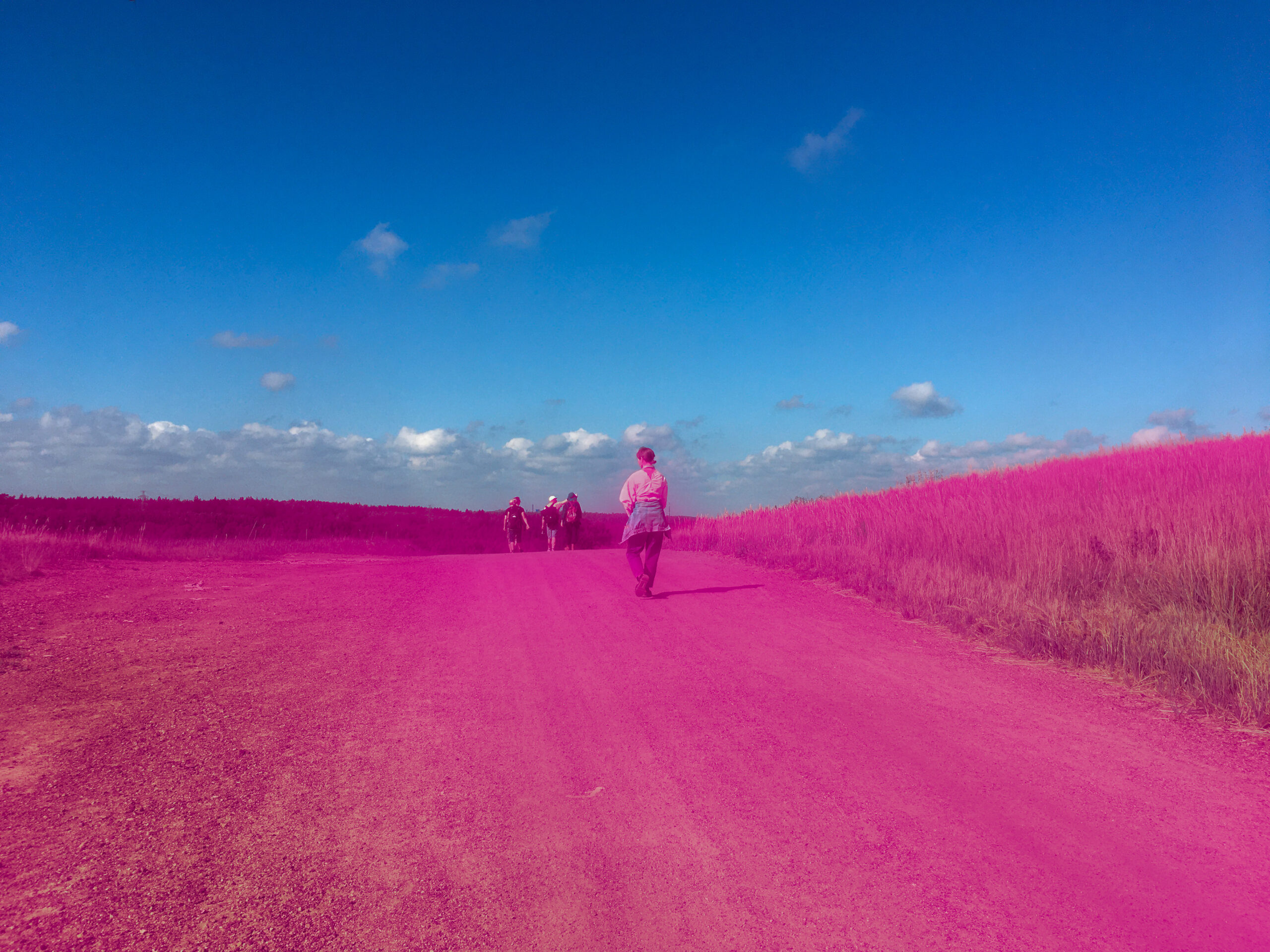 Kävelemässä huipulle