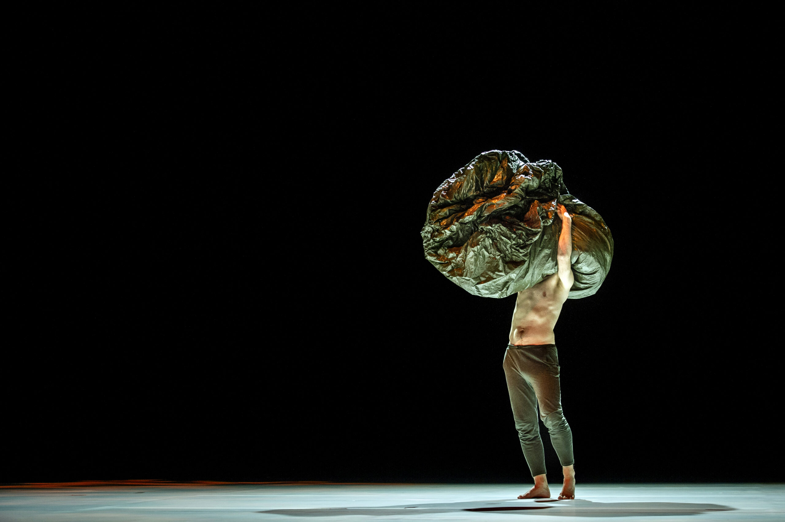 If I would lose my voice