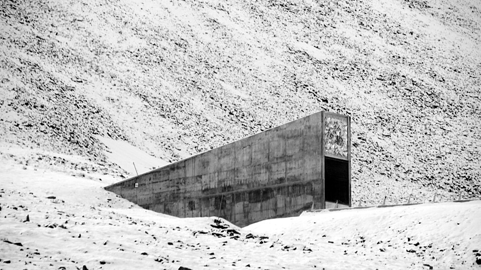 Mustavalkoinen kuva Huippuvuorten siemenholvista