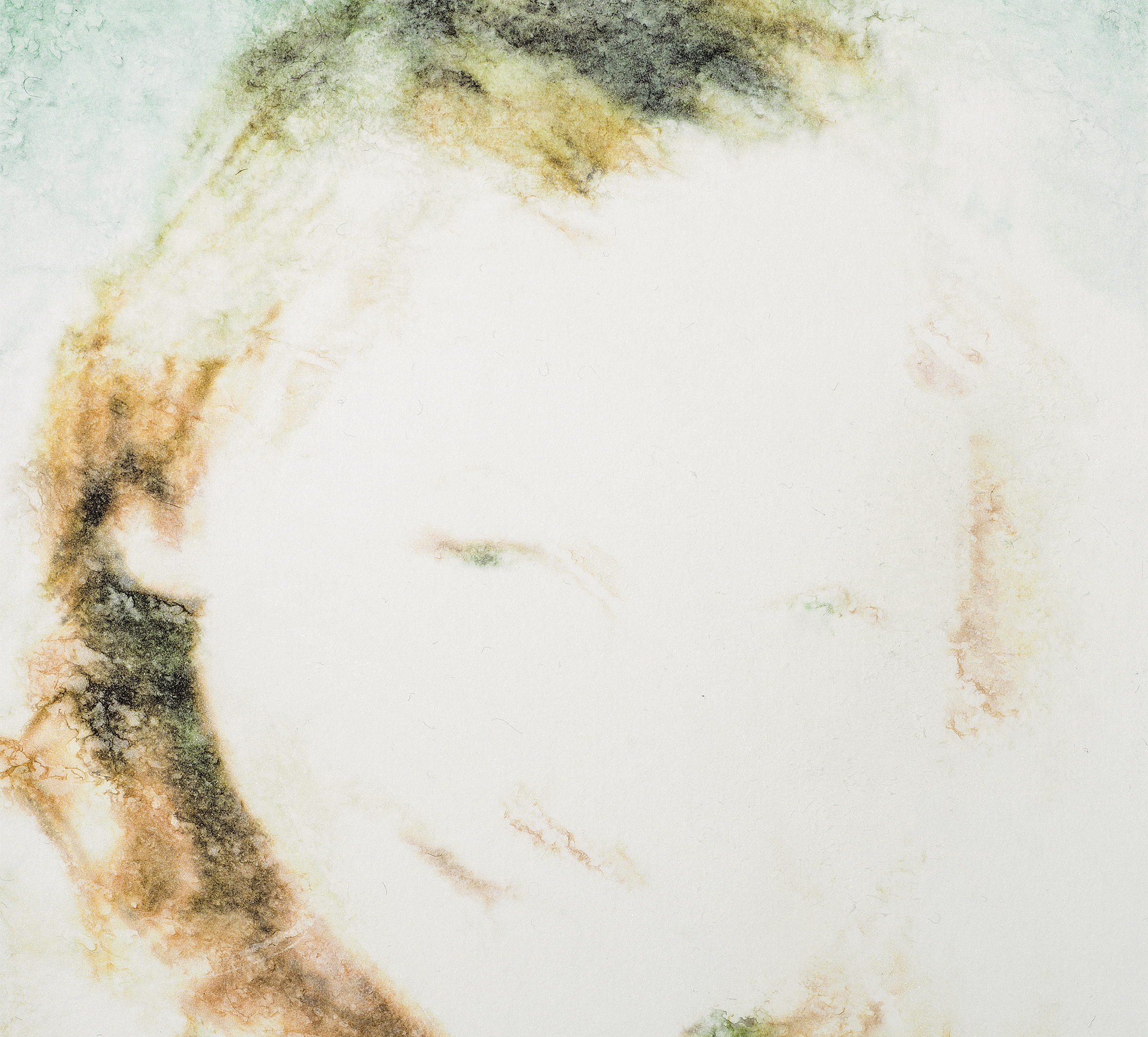 yksityiskohta Karppasen kuasta